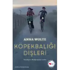 Köpekbalığı Dişleri