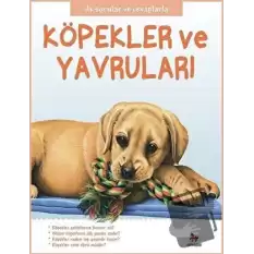 Köpekler ve Yavruları - İlk Sorular ve Cevaplarla