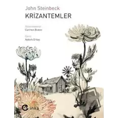 Krizantemler