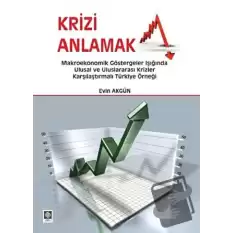 Krizi Anlamak