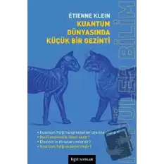 Kuantum Dünyasında Küçük Bir Gezinti