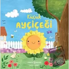 Küçük Ayçiçeği