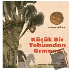 Küçük Bir Tohumdan Ormana