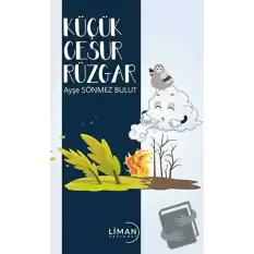 Küçük Cesur Rüzgar