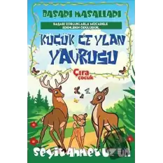 Küçük Ceylan Yavrusu