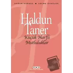 Küçük Harfli Mutluluklar