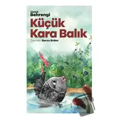 Küçük Kara Balık