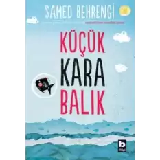 Küçük Kara Balık