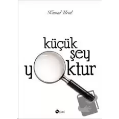 Küçük Şey Yoktur