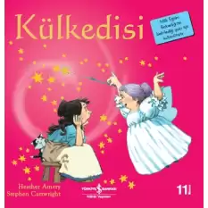 Külkedisi