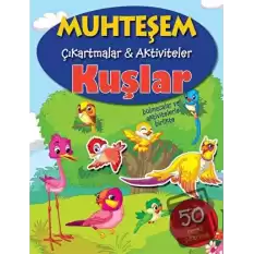 Kuşlar - Muhteşem Çıkartmalar ve Aktiviteler