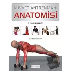 Kuvvet Antrenmanı Anatomisi