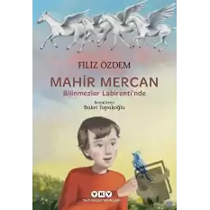 Mahir Mercan - Bilinmezler Labirentinde