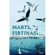 Martı Fırtınası