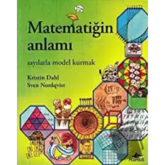 Matematiğin Anlamı: Sayılarla Model Kurmak