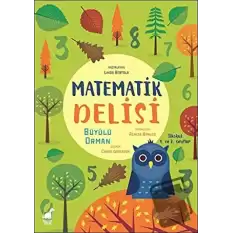 Matematik Delisi - Büyülü Orman