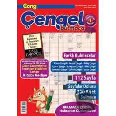 Maxi Gong Çengel Bulmaca 4