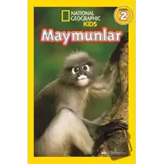 Maymunlar