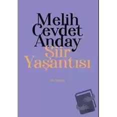 Melih Cevdet Anday: Şiir Yaşantısı