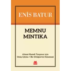 Memnu Mıntıka - Ahmet Hamdi Tanpınar için Onüç Çıkma + Bir Otoportre Denemesi