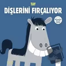 Merhaba Küçük Deha - Tay Dişlerini Fırçalıyor