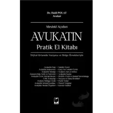 Mesleki Açıdan Avukatın Pratik El Kitabı (Ciltli)