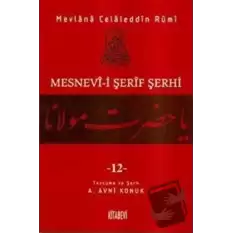 Mesnevi-i Şerif Şerhi Cilt: 12