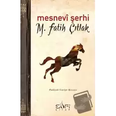 Mesnevi Şerhi