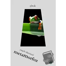 Metamorfoz