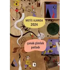 Metis Ajanda 2024: Çanak Çömlek Patladı