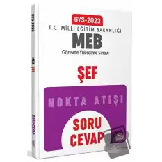 Milli Eğitim Bakanlığı Şef GYS Soru - Cevap