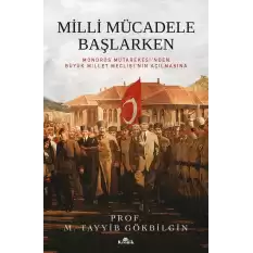 Milli Mücadele Başlarken