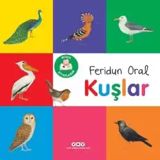 Minik Kitaplarım – Kuşlar