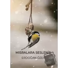 Mısralara Sesleniş