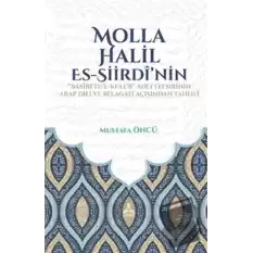 Molla Halil Es-Siirdi’nin Basiretu’l-Kulub Adli Tefsirinin Arap Dili ve Belagatı Açısından Tahlili