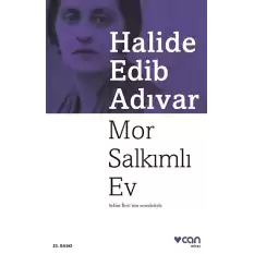 Mor Salkımlı Ev