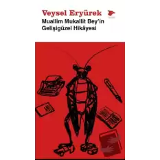 Muallim Mukallit Beyin Gelişigüzel Hikayesi