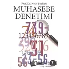 Muhasebe Denetimi