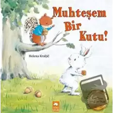 Muhteşem Bir Kutu!