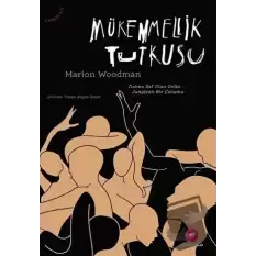 Mükemmellik Tutkusu