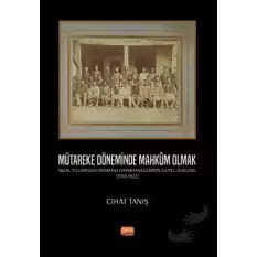 Mütareke Döneminde Mahkûm Olmak - İşgal Yıllarında Osmanlı Hapishanelerinin Genel Durumu (1918-1922)