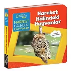 Hareket Halindeki Hayvanlar - İlk Kitaplarım Serisi (Ciltli)