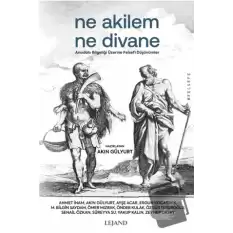 Ne Akilem Ne Divane - Anadolu Bilgeliği Üzerine Felsefi Düşünümler