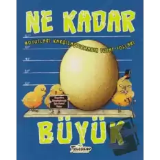 Ne Kadar Büyük