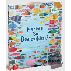 Nerede Bu Denizyıldızı?