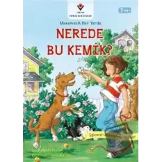 Nerede Bu Kemik - Matematik Her Yerde