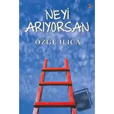 Neyi Arıyorsan