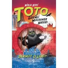 Ninja Kedi Toto - Gizemli Mücevher Hırsızı