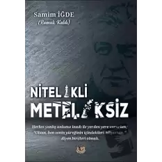 Nitelikili Meteliksiz