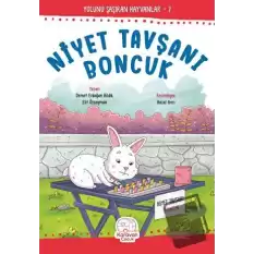 Niyet Tavşanı Boncuk